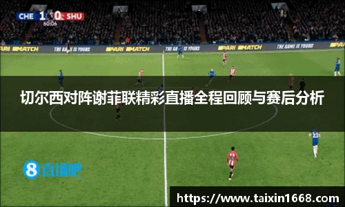 BB贝博登录入口