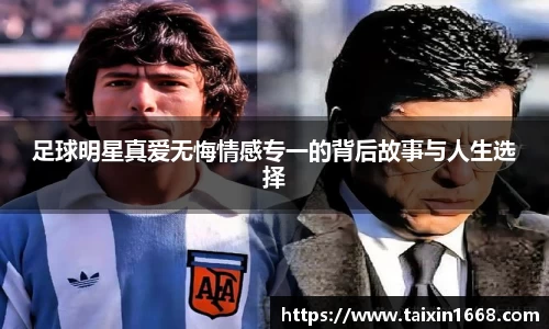 BB贝博登录入口