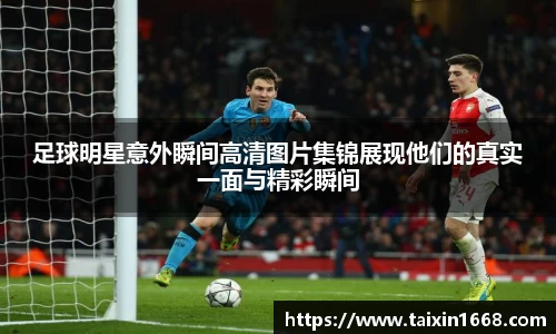 BB贝博登录入口