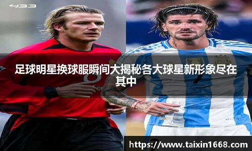 BB贝博登录入口