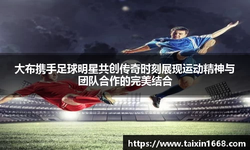 BB贝博登录入口