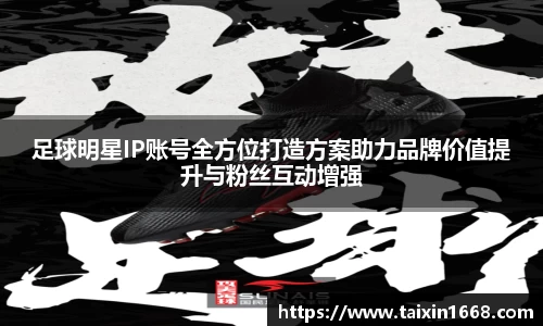 BB贝博登录入口