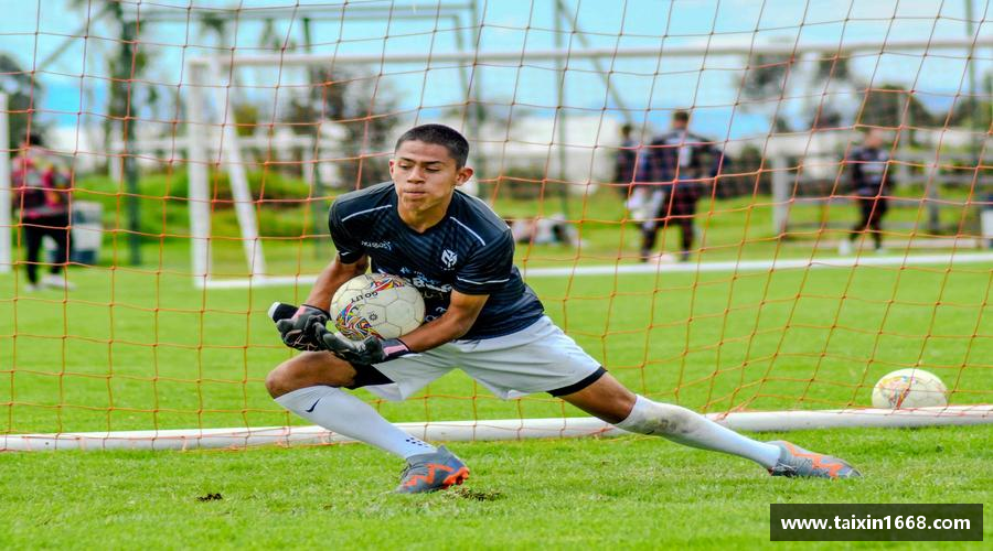 BB贝博登录入口强者征途，梦想起航！